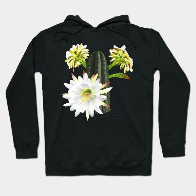 Trichocereus Pachanoi Flowering Hoodie by Cactee